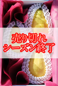 ル・レクチェ3個詰め