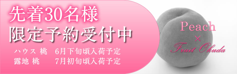 露地桃(もも)予約