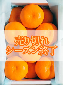 ハウスみかん12個入り