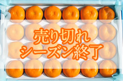 ハウスみかん24個入り