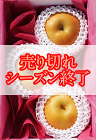 梨（なし）3個詰めイメージ