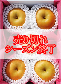 梨（なし）個詰めイメージ
