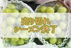 シャインマスカット化粧箱2房