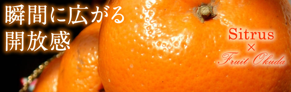 柑橘（みかん）系イメージ
