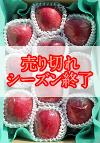 サンふじ（りんご）10個入り