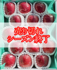 サンふじ（りんご）15個入り