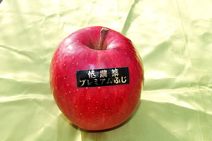 サンふじ（リンゴ）イメージ